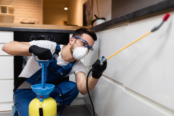 Best Flea Control Services  in Midway, UT