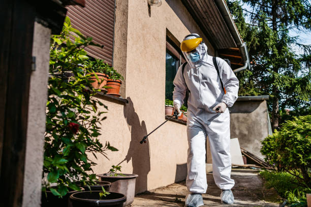 Best Emergency Pest Control  in Midway, UT