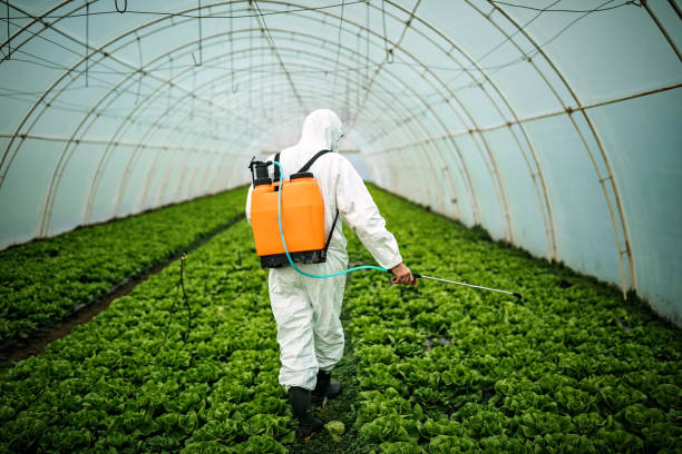 Best Commercial Pest Control Services  in Midway, UT