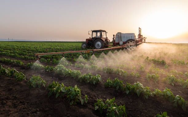 Reliable Midway, UT Pest Control Solutions