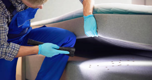 Best Residential Pest Control  in Midway, UT