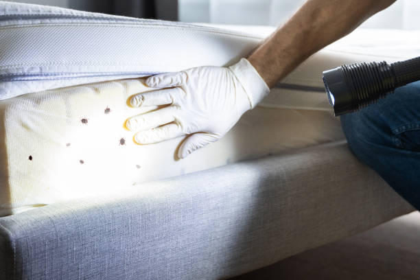 Best Best Pest Control Companies  in Midway, UT