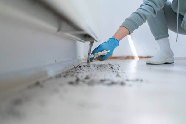 Best Rat Extermination Near Me  in Midway, UT
