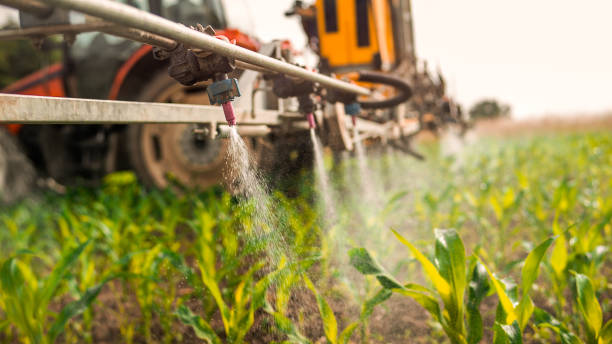 Best Ant Control Services  in Midway, UT