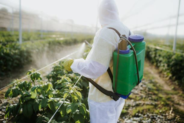 Flea Control Services in Midway, UT